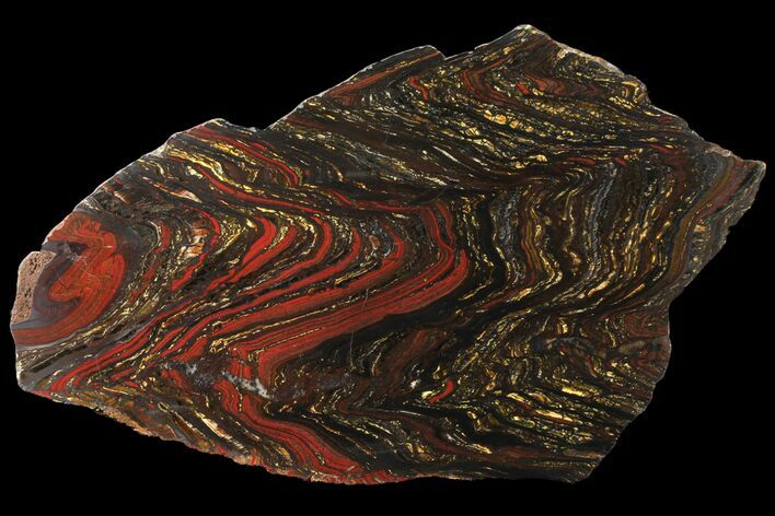 Polished Tiger Iron Stromatolite - ( Billion Years) #96235